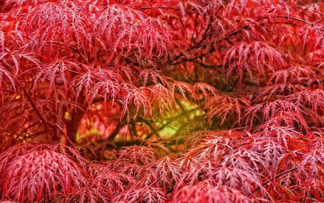 Répétition du 29 sept 2025