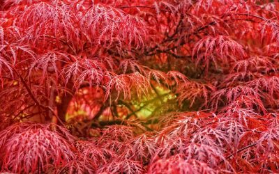 Répétition du 29 sept 2025