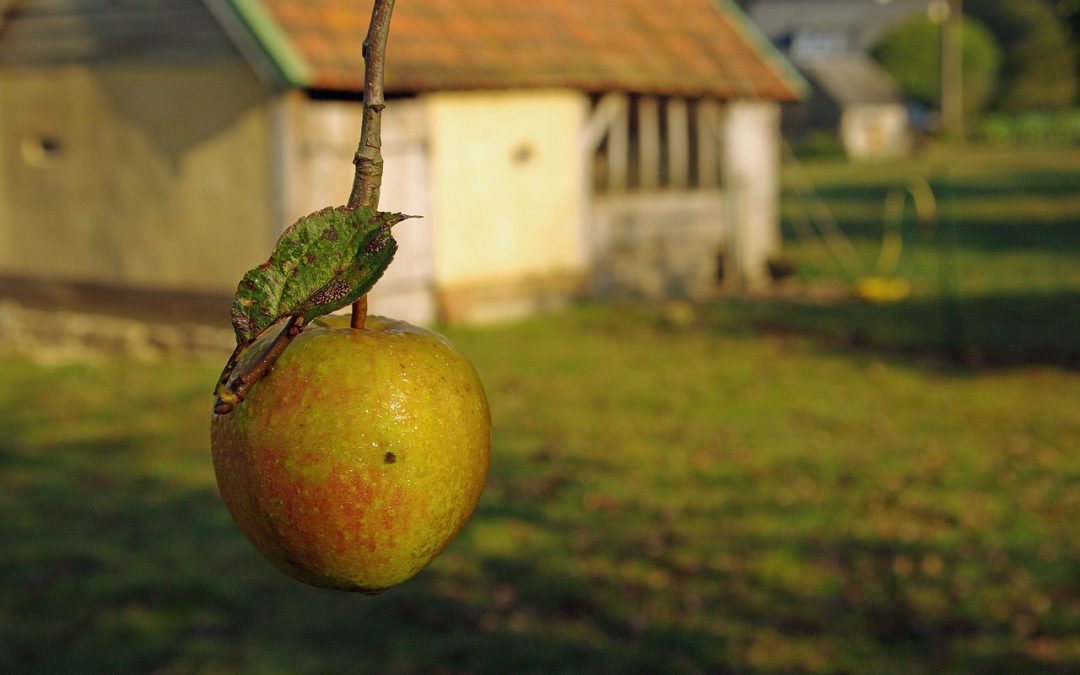 Répétition du 13 oct 2025