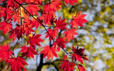Répétition du 6 oct