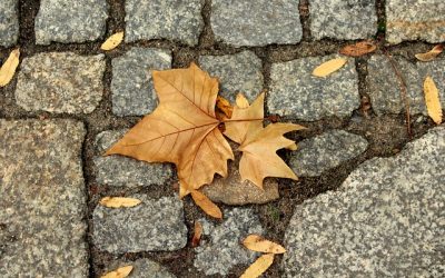 Répétition du 17 novembre