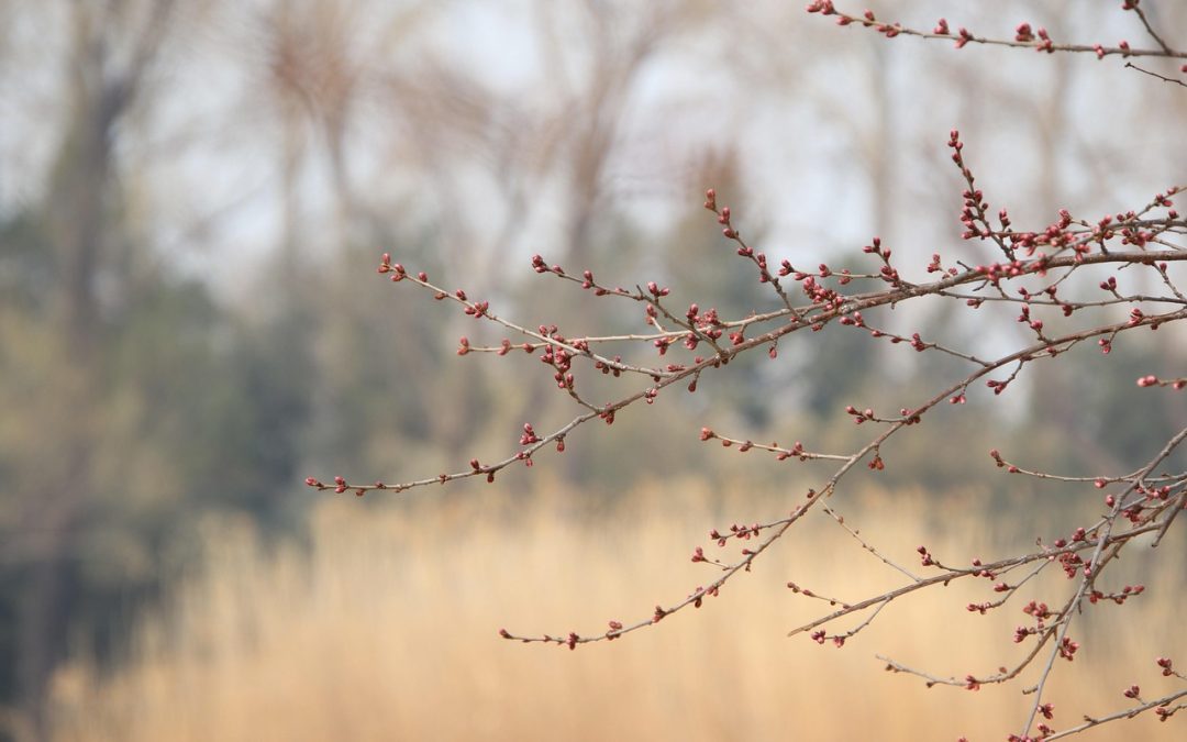 Répétition du lundi 2 mars 2026